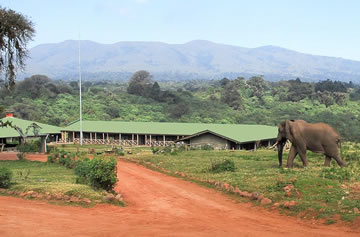 Rhino Lodge