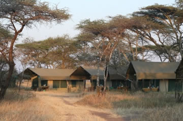 Serengeti Katikati Tented Camp